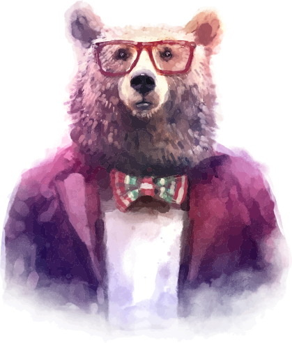 bear-contact bear-contact